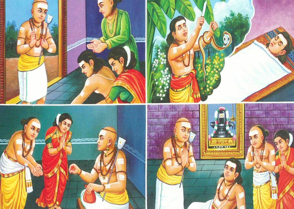 2. அப்பூதியடிகள் நாயனார்